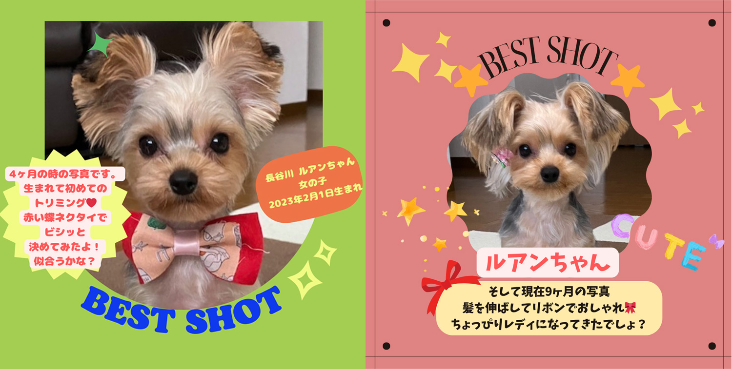 2023年11月BEST SHOT